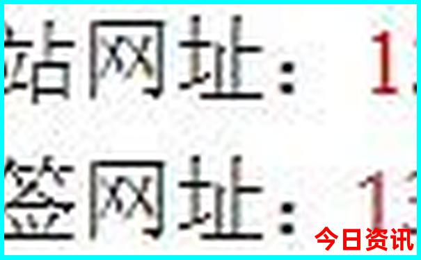 东钱湖半日游最佳路线
